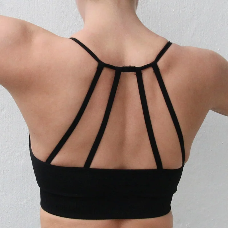 Women's Elegant Clothing Sets Seamless Low Impact Yoga and Sports Bra